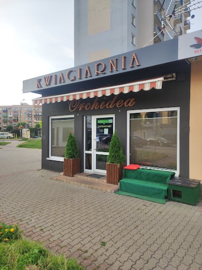 Kwiaciarnia Orchidea. Iwona Jastrząb, Maria Jastrząb s.c., Kwiaciarnia w Słubice