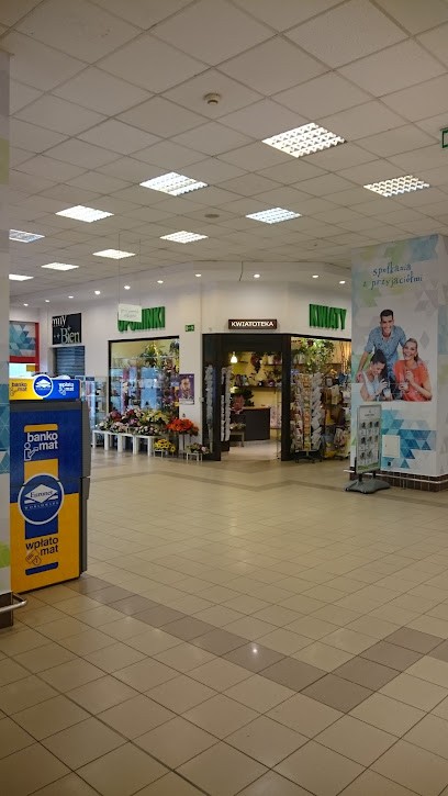 Kwiaciarnia Gardenia, Kwiaciarnia w Warszawa