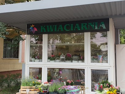 Kwiaciarnia Sunflower Żaneta Warlińska, Kwiaciarnia w Bydgoszcz