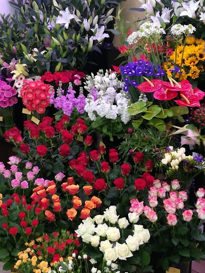 Adonis S.c. Kwiaciarnia, Kwiaciarnia w Ostrowiec Świętokrzyski