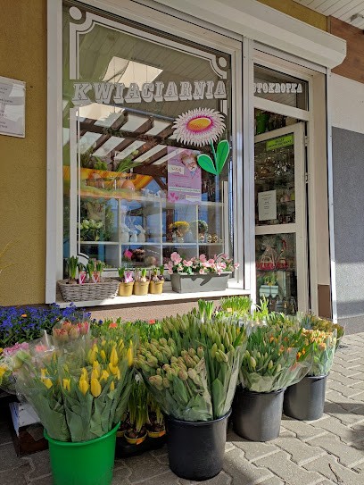 Kwiaciarnia Stokrotka, Kwiaciarnia w Koziegłowy