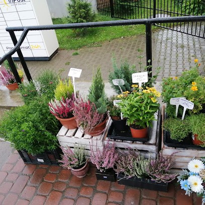 KWIACIARNIA, KWIATY DO CHATY, Kwiaciarnia w Łubowo