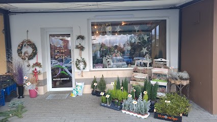 Florist „Kraina Upominków”, Kwiaciarnia w Luboń