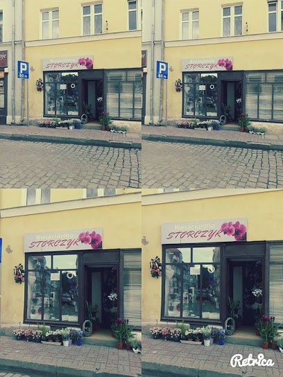 Storczyk, Kwiaciarnia w Orneta