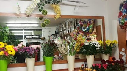 Kwiaciarnia Renata Pasierb, Kwiaciarnia w Kroczyce