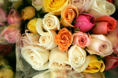 Kwiaciarnia U Eli, Kwiaciarnia w Drużbice-Kolonia