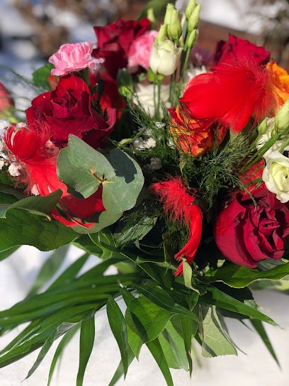 Kwiaciarnia IRYS Szczęsna Bożena, Poczta Kwiatowa Brzeg, Kwiaciarnia w Brzeg