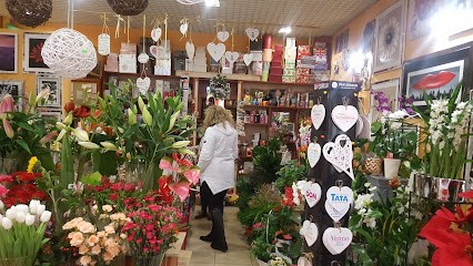 Strelicja, Kwiaciarnia w Świdnica