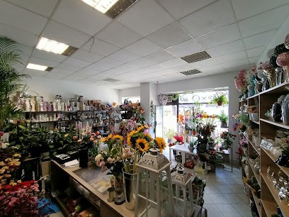 Cebo. FHU. Kwiaciarnia. Cebo T., Kwiaciarnia w Zawiercie