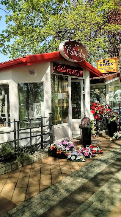 STUDIO ART FLOR CAMELIA, Kwiaciarnia w Elbląg