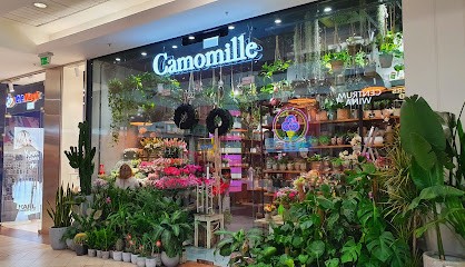 Camomille, Kwiaciarnia w Warszawa