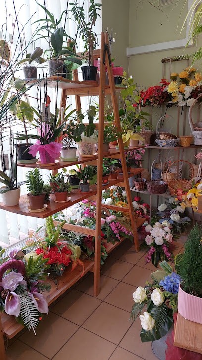 Florim. FHU. Ciara M., Kwiaciarnia w Poznań
