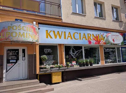 Kwiaciarnia Łodyga, Kwiaciarnia w Giżycko