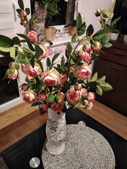 Kakietek s.c. PH. Kwiaciarnia, Kwiaciarnia w Grodzisk Mazowiecki