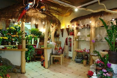 Amazonia, Kwiaciarnia w Bożejowice