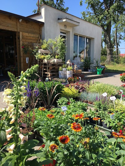 Maranta. Kwiaciarnia, Kwiaciarnia w Luzino