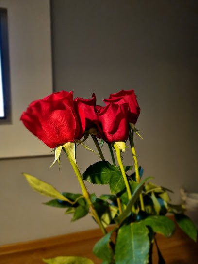 Kwiaciarnia SŁAWA, Kwiaciarnia w Wolbrom