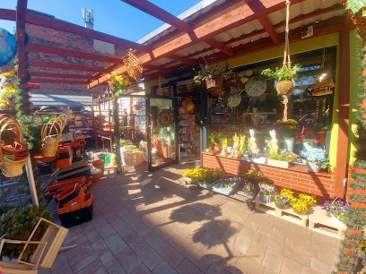 Kwiaciarnia 4 Pory Roku Pracownia Florystyczna,BALONY Z HELEM,Prezenty Z JAJEM,Dekoracje Sal I Samochodów LODY- GOFRY, Kwiaciarnia w Zabrze