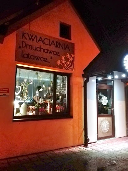 Kwiaciarnia Dmuchawce Latawce..., Kwiaciarnia w Nowy Sącz