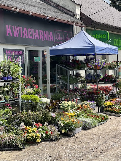 Kwiaciarnia Dla Ciebie, Kwiaciarnia w Łódź