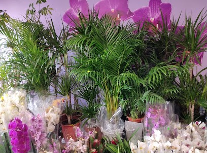 Frąszczak Stefan. Handel kwiatami, Kwiaciarnia w Wolin