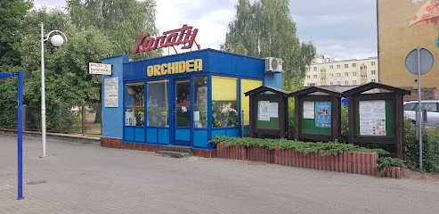 Orchidea. Kwiaciarnia. Huszczanowski J., Kwiaciarnia w Piła