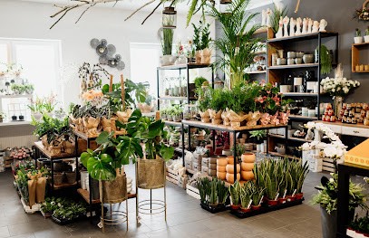 Kwiaciarnia Kwiatosfera Sabina Goch,ul.sobieskiego 8, 34 480, Kwiaciarnia w Jabłonka