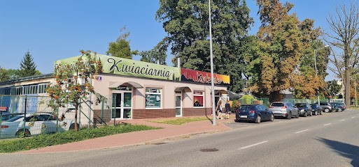 Kwiaciarnia Tulipan, Kwiaciarnia w Puławy