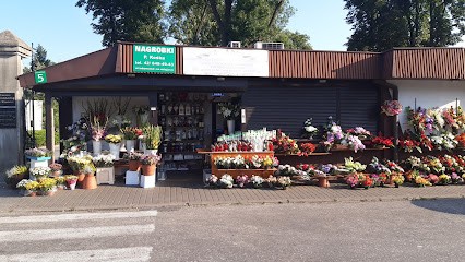 Kwiaciarnia Anna i Andrzej Sowińscy, Kwiaciarnia w Łódź