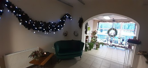 Kraspedia, Kwiaciarnia w Skierniewice