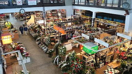 Kwiaciarnia Maja, Kwiaciarnia w Wrocław