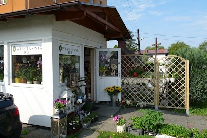 Kwiaciarnia BB - Profesjonalna Florystyka, Kwiaciarnia w Pogwizdów