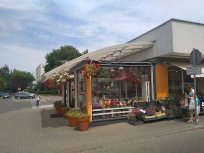 Kwiaciarnia Różany Zakątek, Kwiaciarnia w Poznań