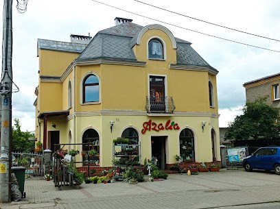 Azalia, Kwiaciarnia w Wrocław