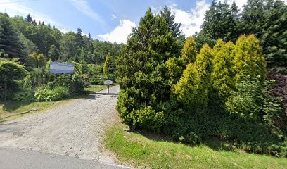 Maria. Rodzinna firma kwiaciarska. Lesiak M., Kwiaciarnia w Pieszyce